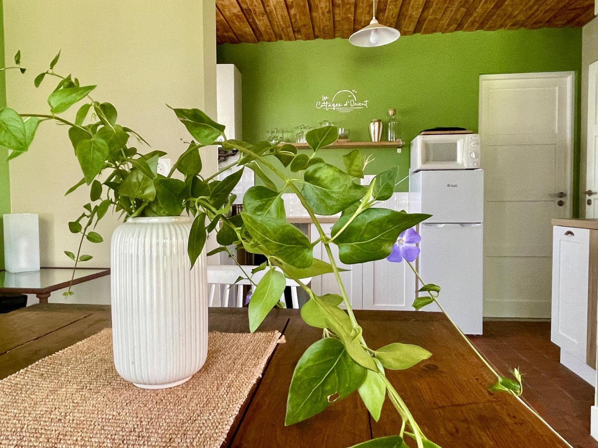 Les Cottages D'Orient Gite Boutique 梅尼尔圣榭 外观 照片